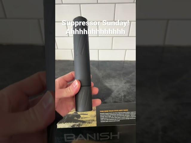 300BLK suppressor finally here! The Banish 30! #2A #suppressor #freedom