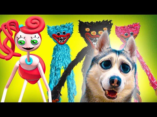 Все серии с ХАГГИ ВАГГИ в РЕАЛЬНОЙ ЖИЗНИ! Все монстры POPPY PLAYTIME! Хаски Бандит Говорящая собака