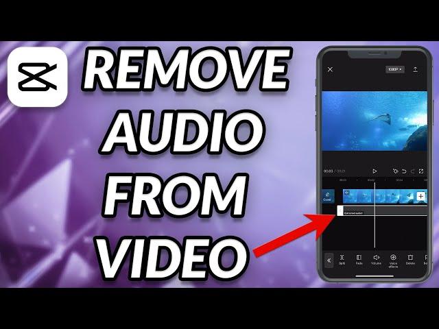 How To Remove Sound From A Video In CapCut