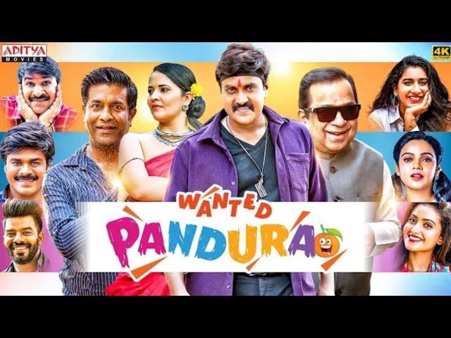 Wanted PanduRao Hindi Dubbed Movie | Sunil, Anasuya | Brahmanandam | South Movie 2024