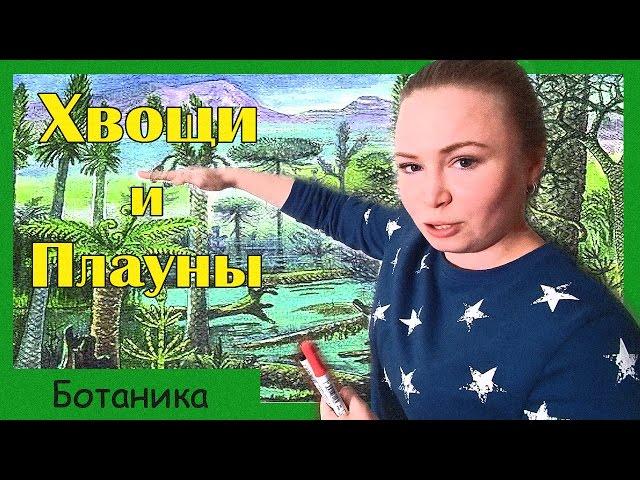 Хвощи и плауны. Споровые растения. Подготовка к ЕГЭ по биологии.