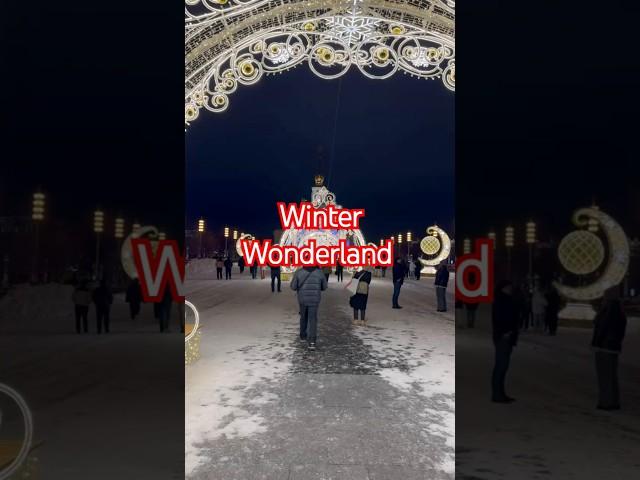 Winter Wonderland Moscow Russia #ExpatsInRussia #MoscowLife #RussiaTravel  #snow