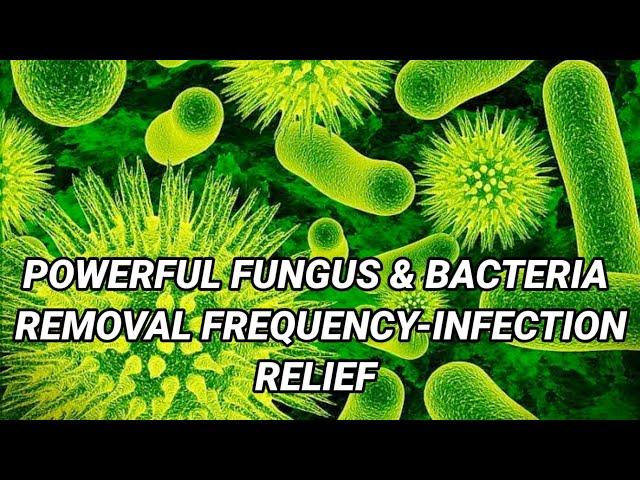 POWERFUL FUNGUS & BACTERIA REMOVAL FREQUENCY - Infection Relief Frequency Binaural Beats