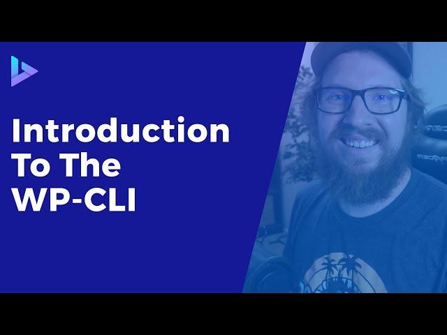 WordPress CLI Introduction