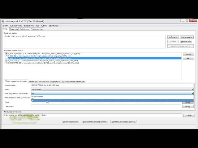 MKVMerge GUI. Заполняем поля