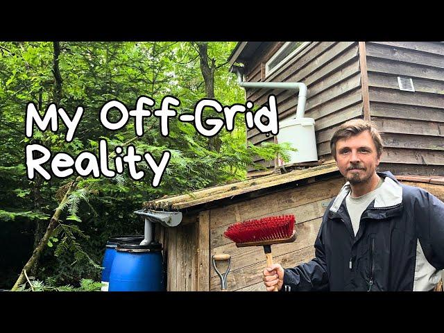 Daily Routines At My Off-Grid Tiny House In The Forest