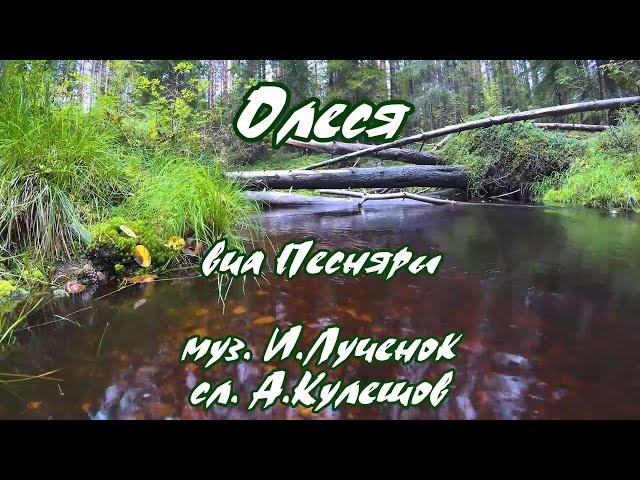 Песняры -Олеся(Алеся)-караоке(рус+бел. текст)