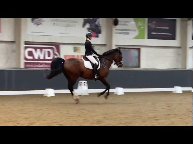 BRC Dressage to music elementary freestyle 72% keysoe August 2020