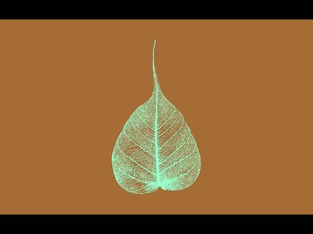 150207 Treating Weakness & Confusion \ \ Thanissaro Bhikkhu \ \ Short Dhamma Talk