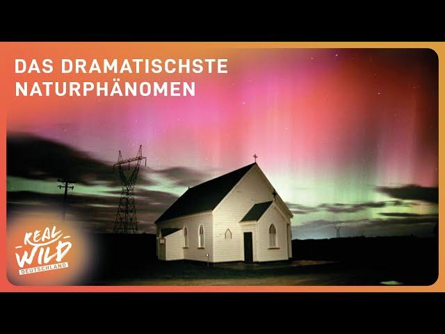 Polarlichter: ein faszinierendes Phänomen | Aurora Doku | Real Wild Deutschland