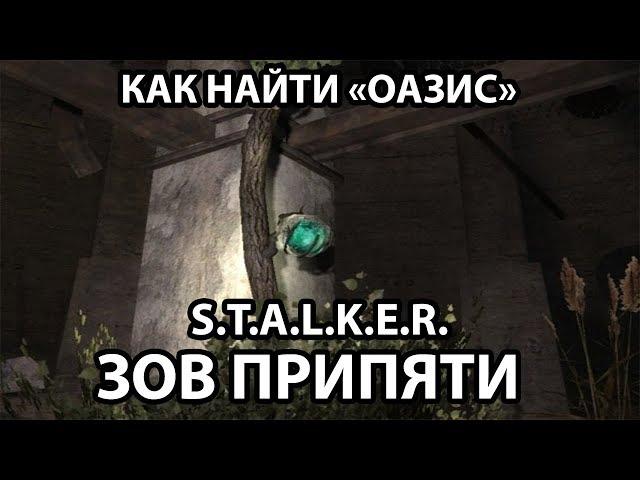 КАК НАЙТИ АРТЕФАКТ "ОАЗИС" - S.T.A.L.K.E.R. ЗОВ ПРИПЯТИ