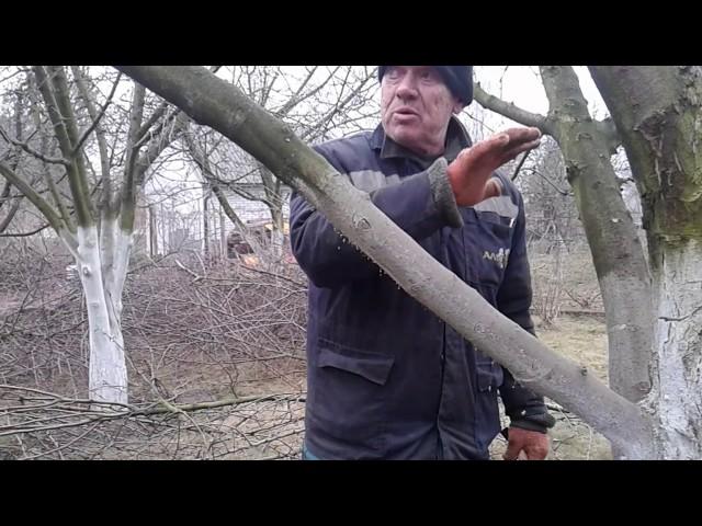 Урок КАРБОВКА.ПРОСМОТРИТЕ  ПОЖАЛУЙСТА.ЗАДАЙТЕ ВОПРОС.