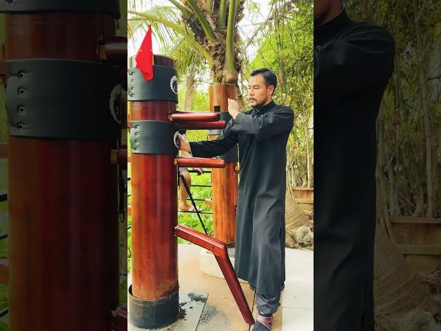 Repetition is to refine your techniques #wingchun #kungfu #vothuat #martialarts  #masterphan #karate