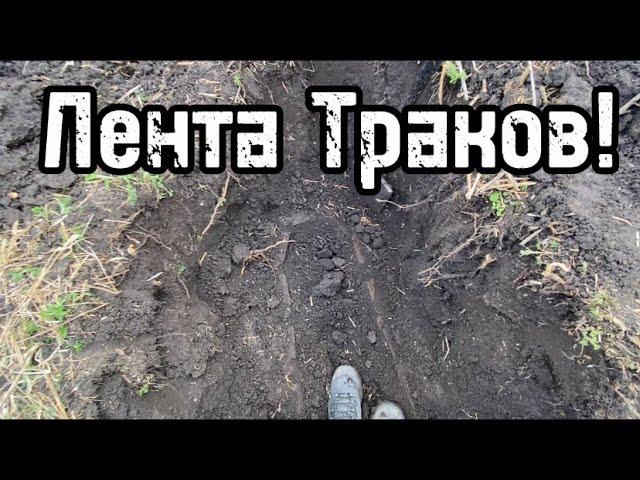 Взрыв Мозга! Лента Траков! Вот Это Бонус! Вот Вам И Копаное Место!