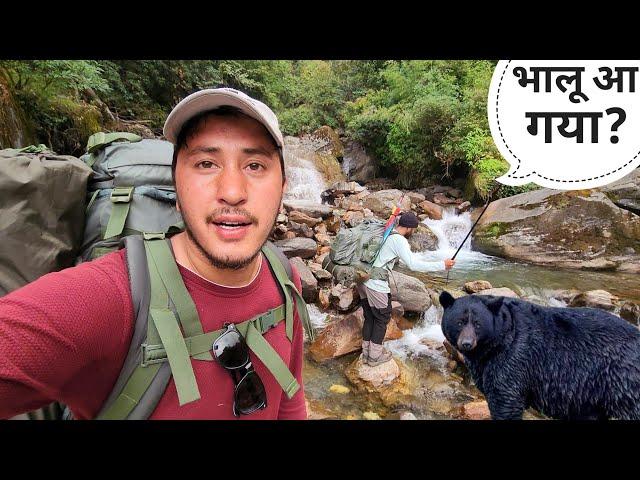 चोपता तुंगनाथ के घने जंगलों में खतरनाक भालू मिल गया || Vishudi Tal Trek || Cool Pahadi