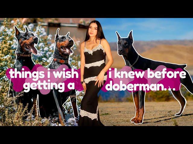 THINGS I WISH I KNEW BEFORE GETTING A DOBERMAN