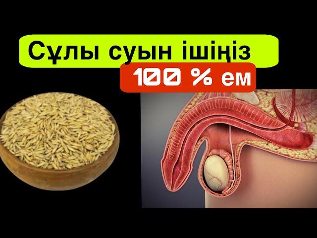 Сұлының емдік қасиеті. Сұлы суының пайдасы