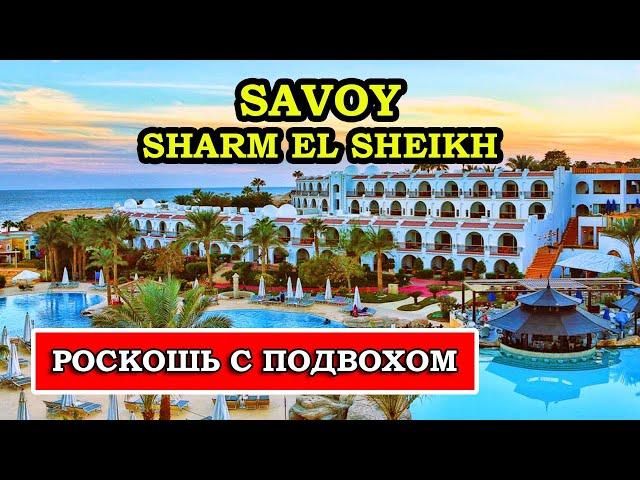 Is SAVOY Sharm El Sheikh 5* worth the money? Detailed review of the hotel and all the nuances.