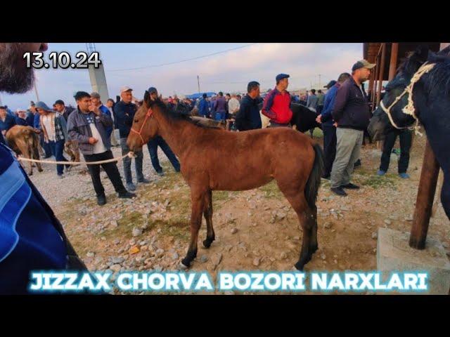 JIZZAX OSIYO MOL QO'Y BOZORI NARXLARI ЖИЗЗАХ ОСИО ЧОРВА МОЛ БОЗОРИ НАРХЛАРИ #жиззах #rek #ozod