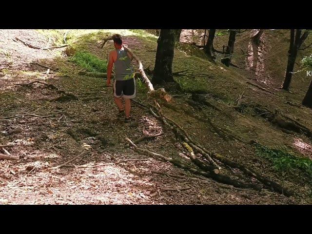 solo camping build bushcrat shelter shelte in an log cabin.