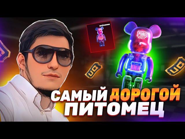 50000UC НА 3 ПИТОМЦА BEARBRICK НОВЫЙ КЕЙС В PUBG MOBILE! #pubgmobile#пубгмобайл#ibragaming #ibrapubg