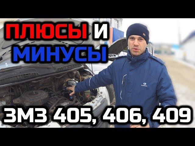 Плюсы и минусы двигателей ЗМЗ 405 406 409