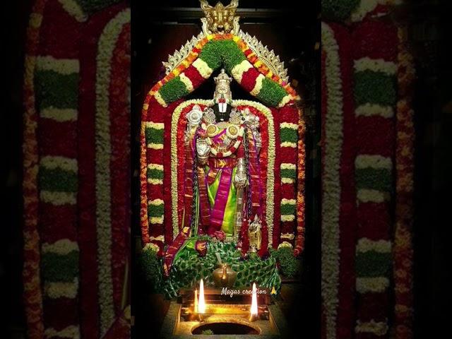 #Venkanna#Balaji#Srinivasa #Govinda#Venkatesha#Venkata Ramana#Venkatachalapati #Tirupati#trending