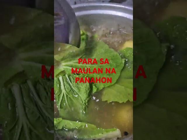 -ulam ides