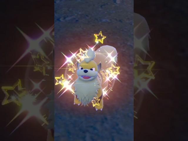 Shiny Growlithe (Day 196/366)#pokemon #gaming #subscribe #shorts #sub #pokemongo #shiny #poketuber