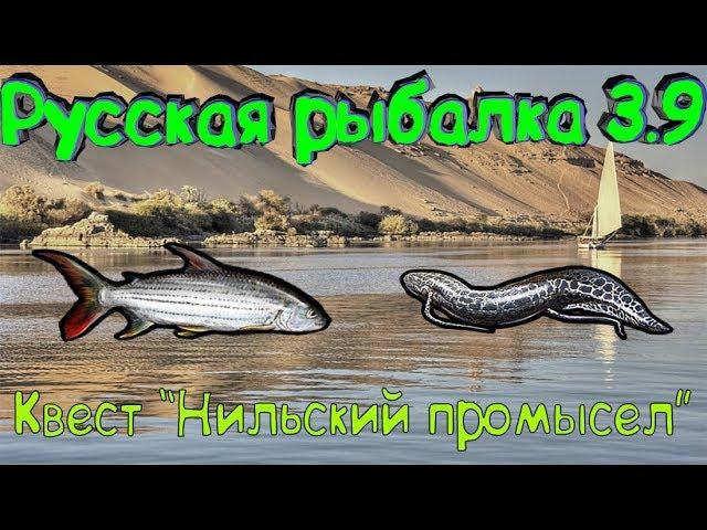 Русская рыбалка 3.9 Нильский промысел! Протоптер мраморный! Тигровая рыба!