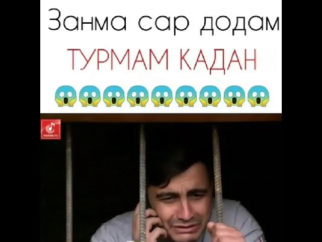 Prikol tjk zanma sardodum trma kadan