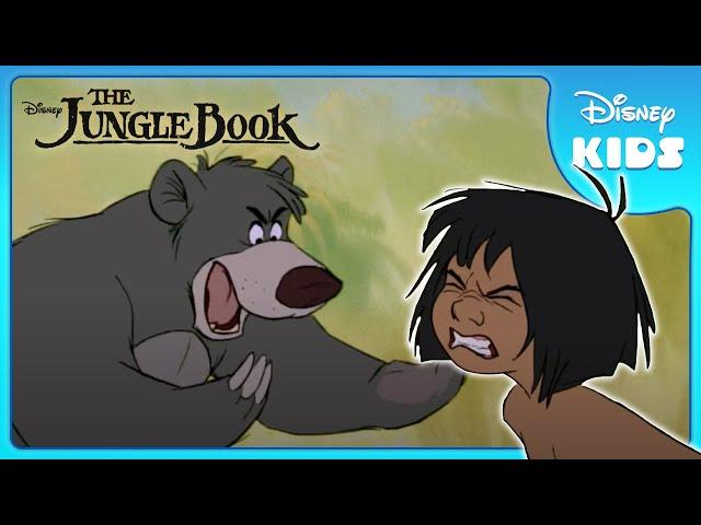  Baloo's Training Fun! | Jungle Book | Disney Kids