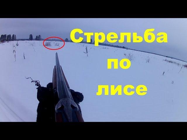 Стрельба по лисе || Охота в 2018г. || Фартовая лиса