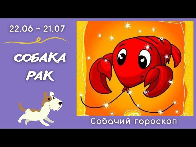 🪐 СОБАЧИЙ ГОРОСКОП: Собака - рак (юмор)