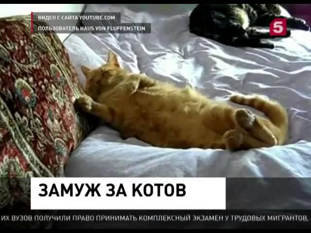 Замуж за котов