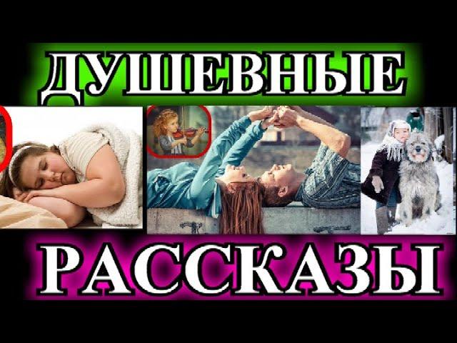 ДУШЕВНЫЕ РАССКАЗЫ️СЧАСТЬЕ Я КУПЛЮ️ПРОПАВШАЯ️ТЯЖЁЛАЯ ОШИБКА @TEFI РАССКАЗЫ