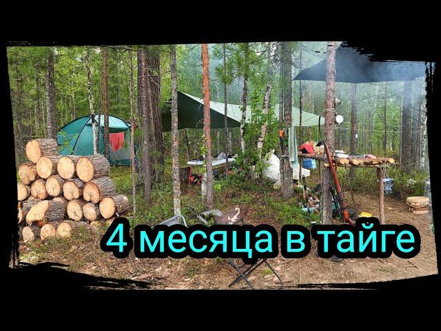 ВСЁ ЛЕТО В ТАЙГЕ НА ВЕРТОЛЁТЕ. ТОПИМ БАНЮ, СПАСАЕМ ЛАГЕРЬ. Bushcraft ( # 1/5 )