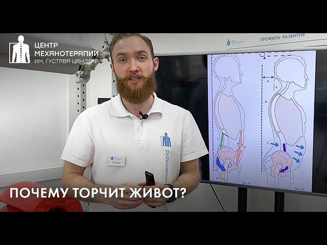 Торчит живот? Боли в пояснице? - это признаки перекоса таза (наклон таза кпереди)