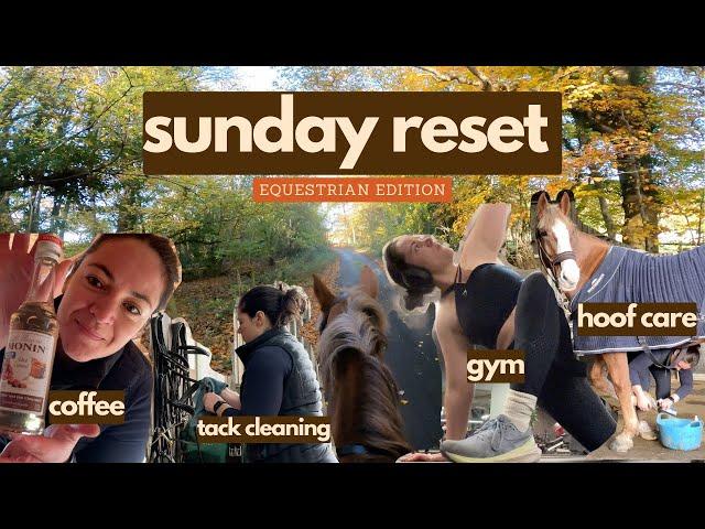 Sunday Reset: Horse Rider Edition | Riding With Rhi, UK Equestrian YouTuber