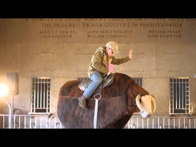 Mechanical Bull Riding