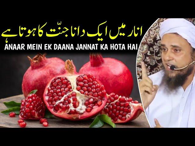 Anar mein ek dana jannat ka hota hai | mufti tariq masood | @islamicResearchAbdulQadir