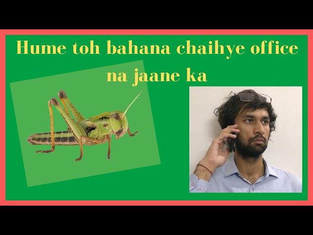 Hume Toh Bas Bahana Chaihye Office Na Jaane Ka|| Locust attack ||Shoclips