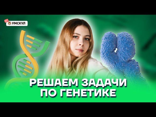 Решаем задачи по генетике | Биология ЕГЭ 10 класс | Умскул