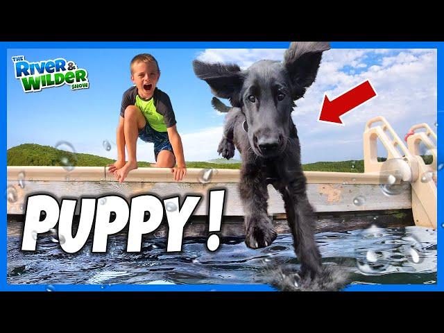 NEW PUPPY! Kids play with and train their new dog | River and Wilder