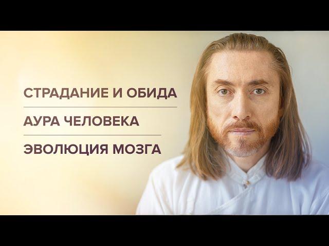 Страдание и обида. Аура человека. Эволюция мозга