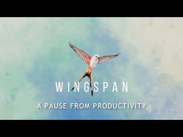 Wingspan - A Break for the Productive Person