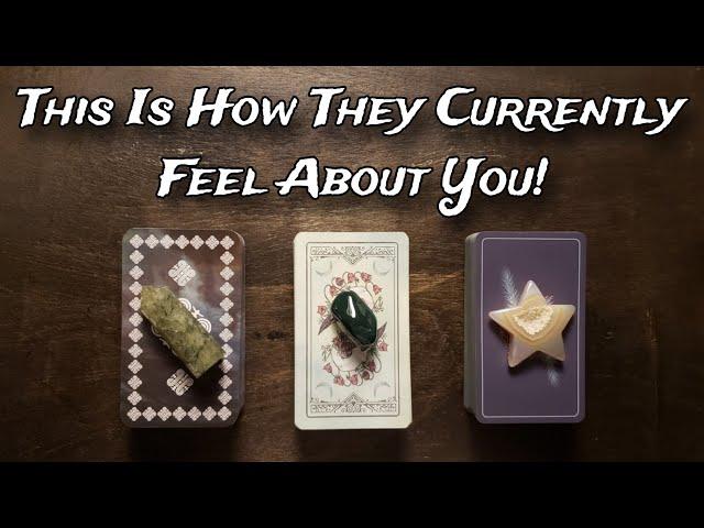  THIS Is HOW THEY Currently FEEL About YOU!  Pick A Card Love Reading