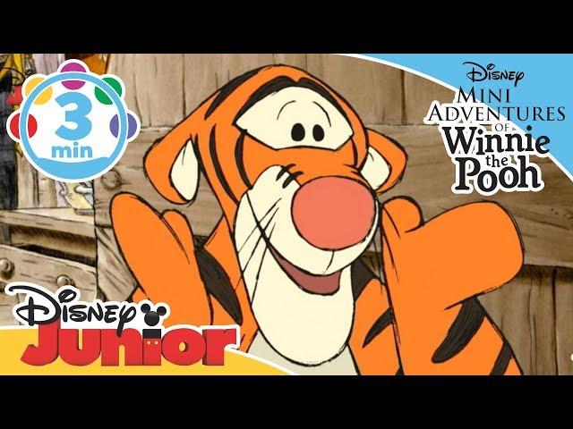 The Mini Adventures of Winnie The Pooh | Someone like Tigger Song | Disney Junior UK