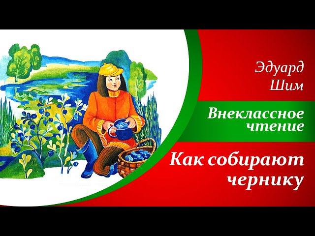 Рассказы для детей  |  Эдуард Шим - Как собирают чернику  |   Внеклассное чтение 2 класс