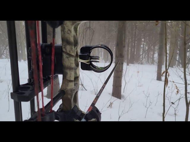 Late Season Archery Deer Drives